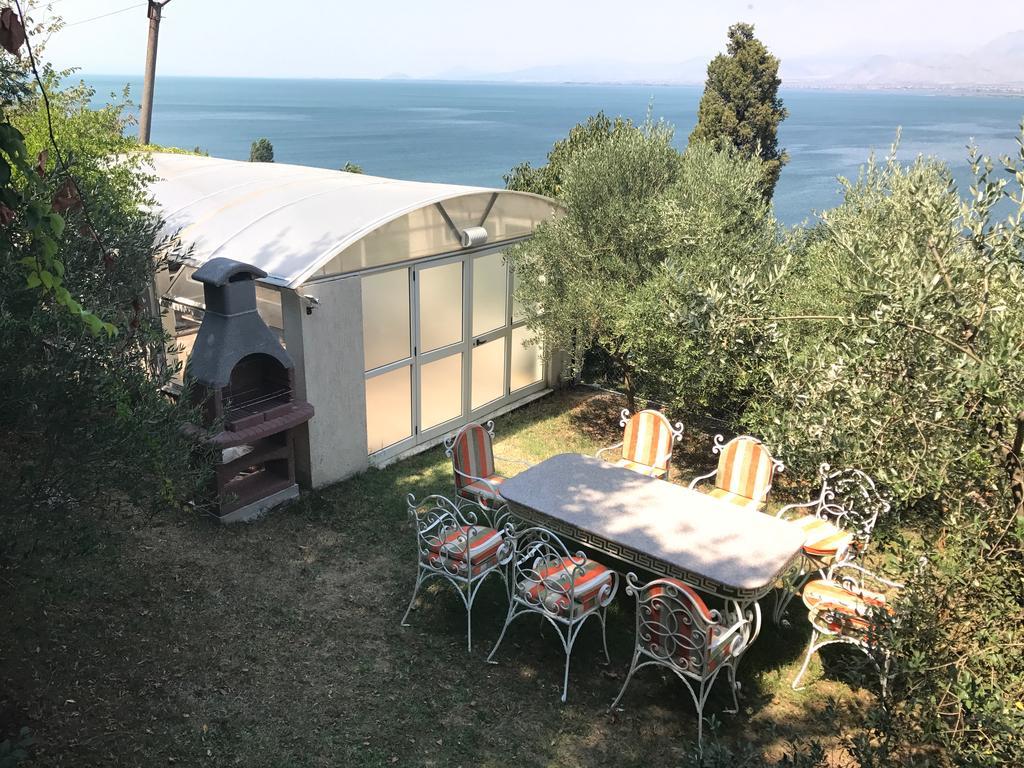 Modern Swimming-Pool VillaShkodër エクステリア 写真