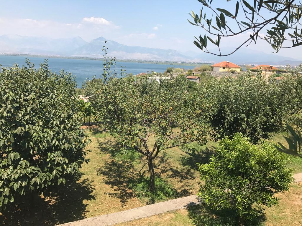 Modern Swimming-Pool VillaShkodër エクステリア 写真