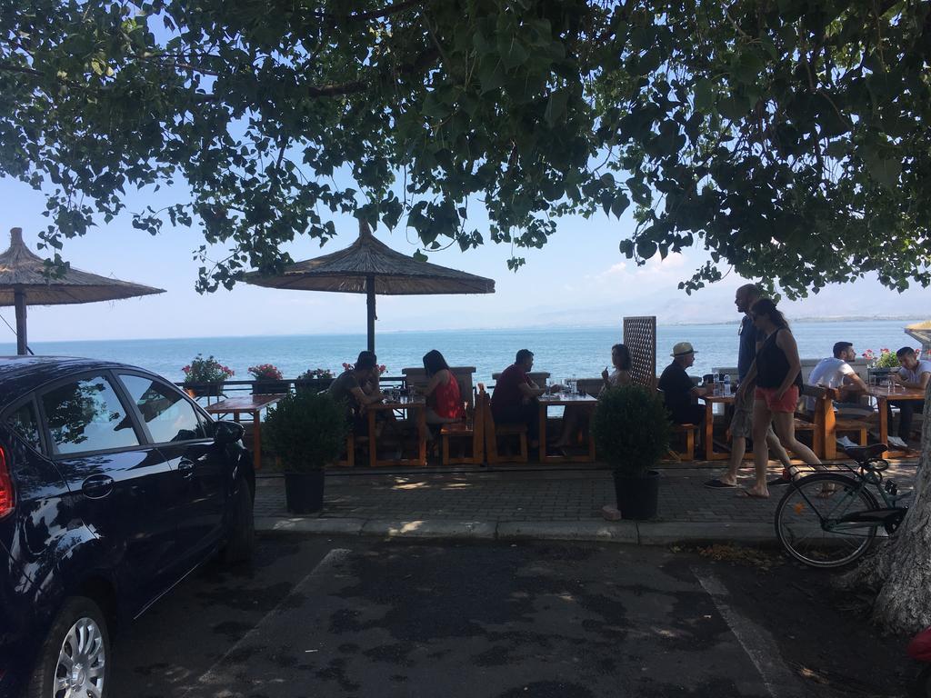 Modern Swimming-Pool VillaShkodër エクステリア 写真